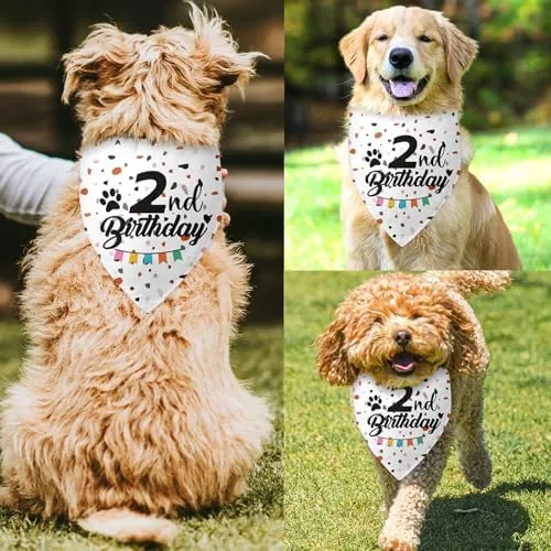 Birthday Gifts For Dogs Amazon Birthday Gifts For Dogs Dogs