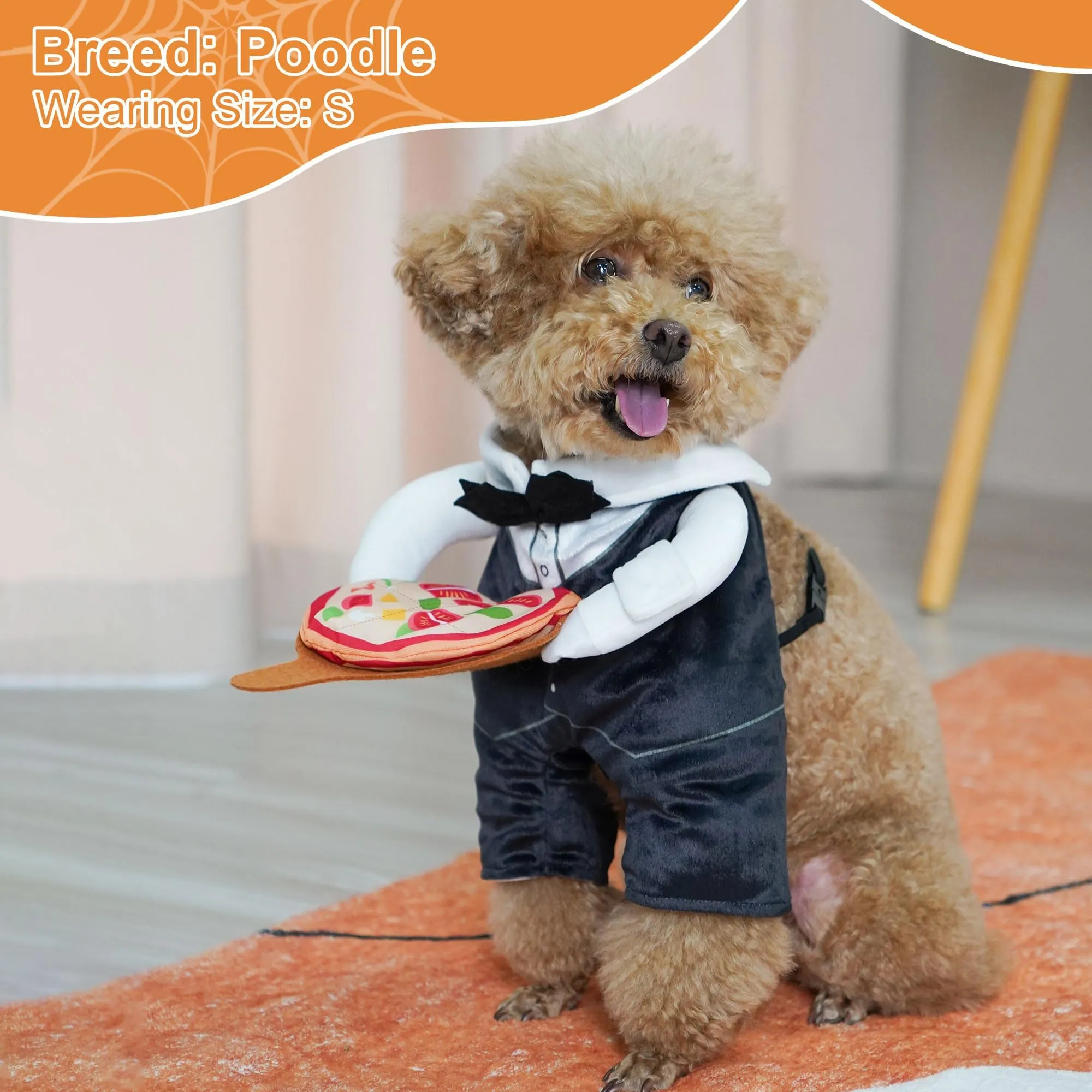 sachin and babi light blue dress Dog Halloween Costume Waiter Outfit for Small Dogs, Size M, Breathable  Padded Adjustable Pet Cosplay Clothes