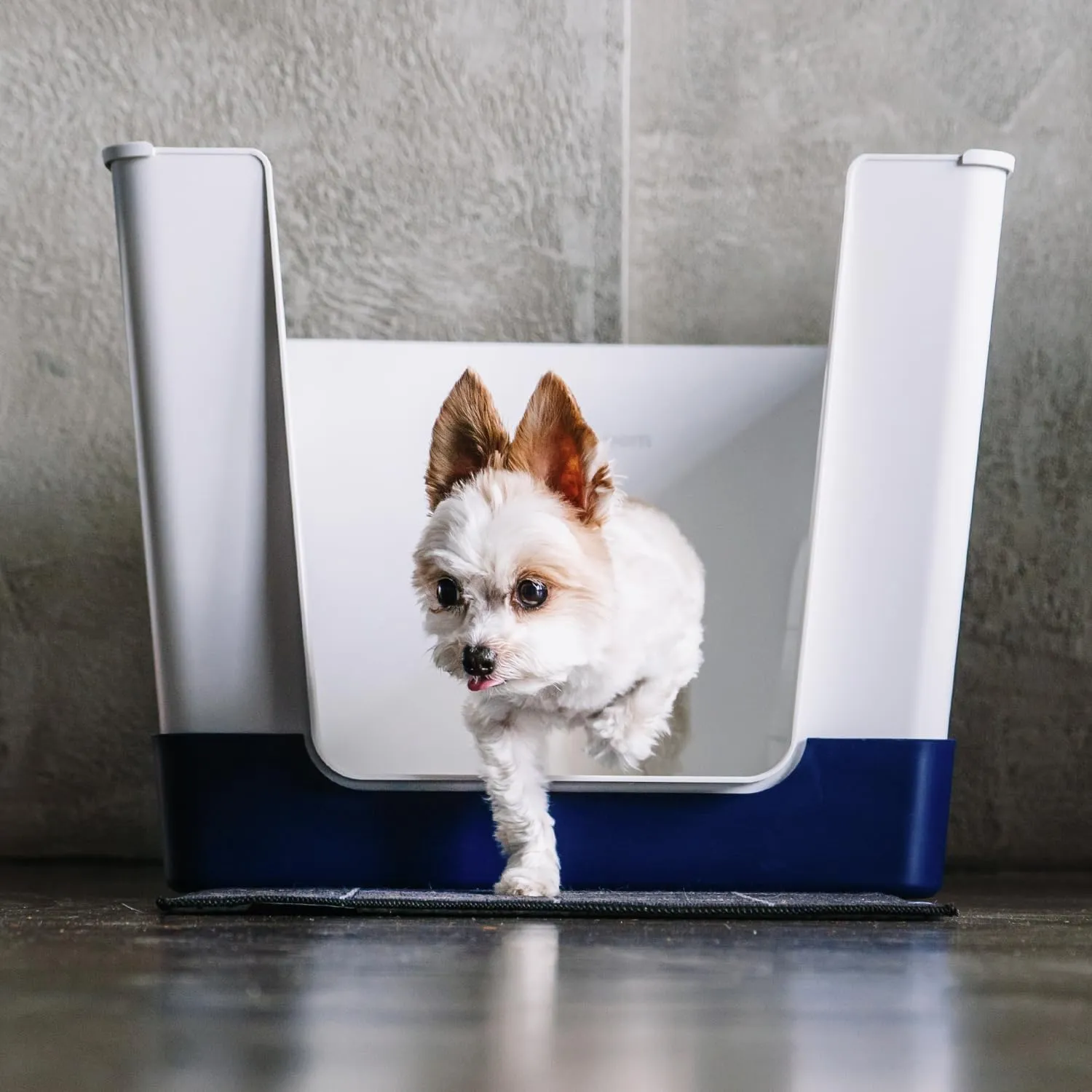 Dog Litter Box Box Of Puppy Pads Spotty Dog Potty Puppy Pads