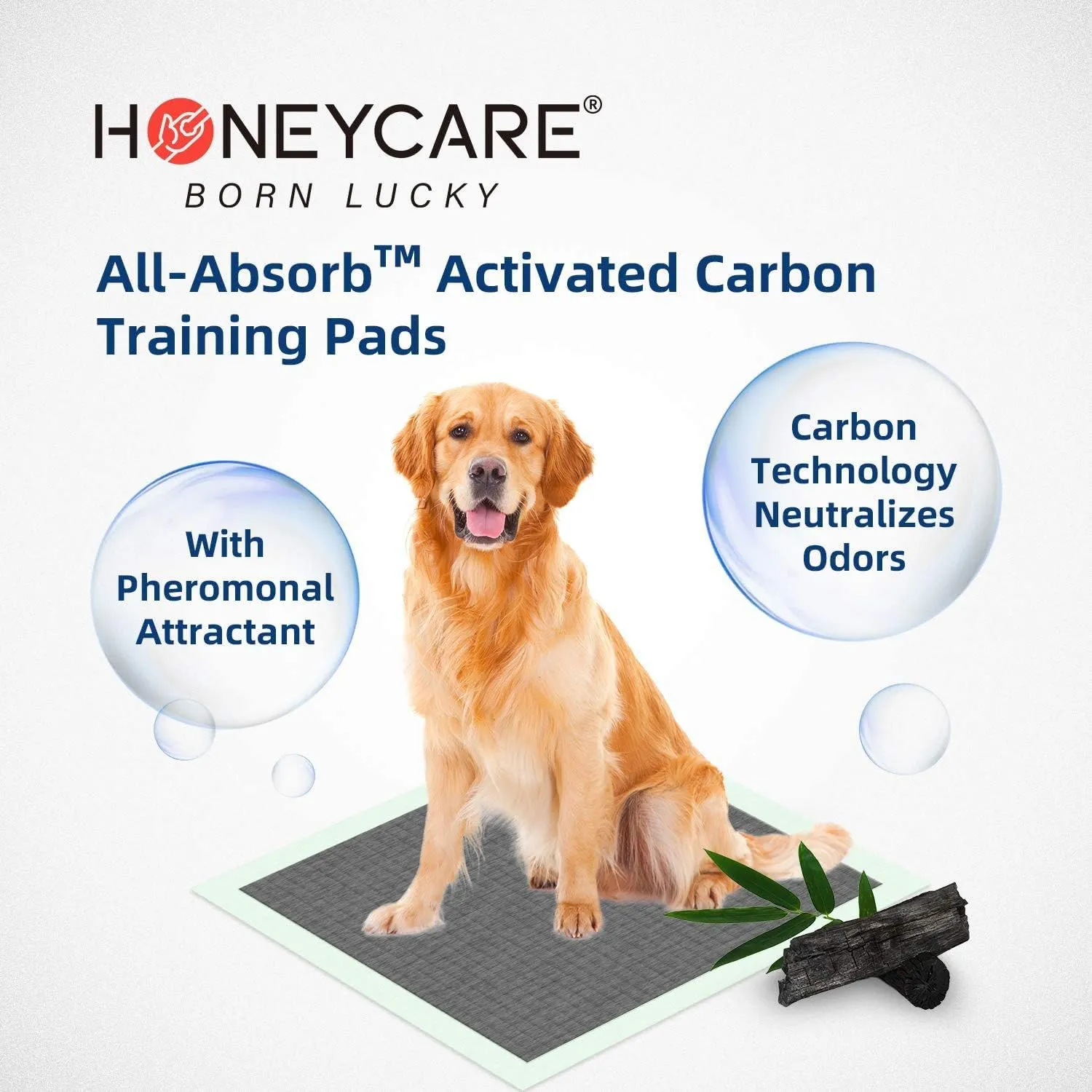 AKC Puppy Training Pads – 100 Count, Ultra Absorbent Quick-Dry Gel, 22x22 Inch Leak-Proof Dog Pee Pads (Unscented)