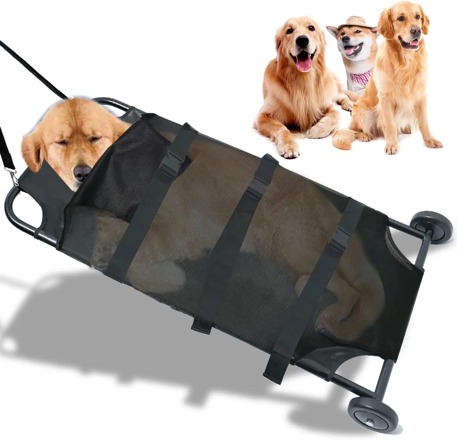 Large Dog Carrier with Wheels: Heavy-Duty Pet Transport Trolley Up