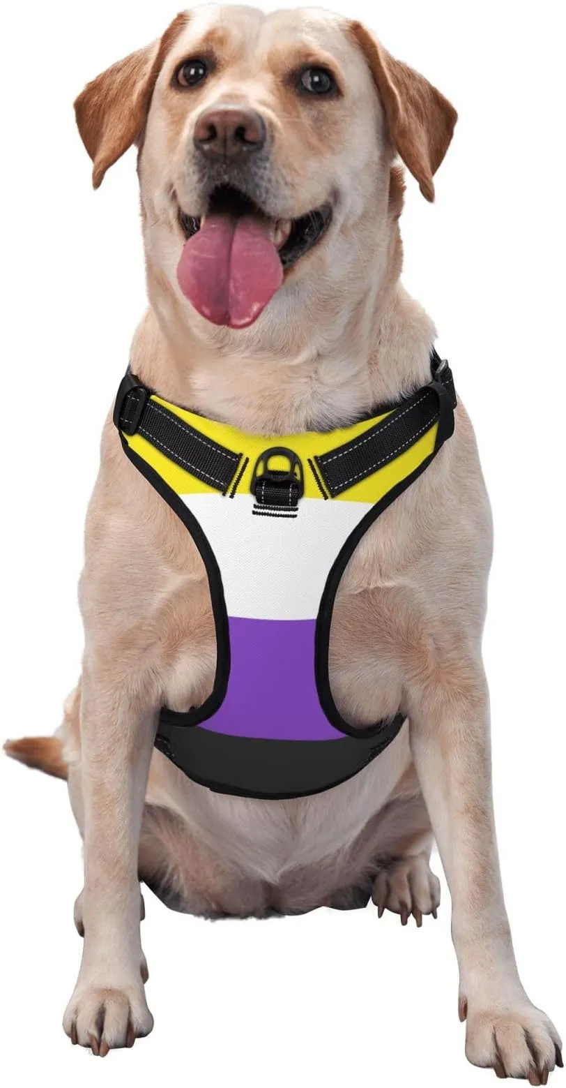 PawSafety No-Pull Dog Harness - Overhead Design With 2 Quick-Release Buckles & Top Handle