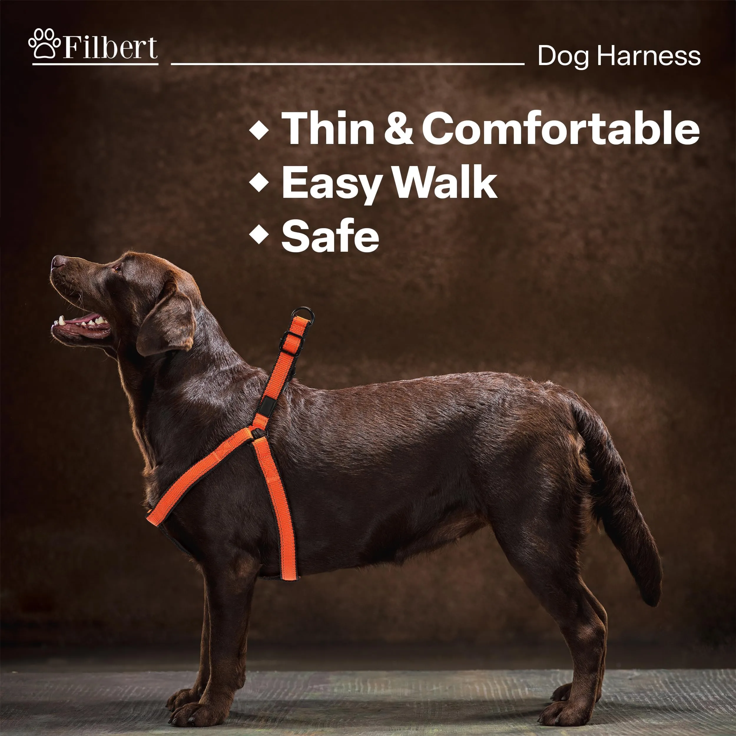 Dhgate Lightweight Dog Harness For Summer KUTKUT Dog Harness, No