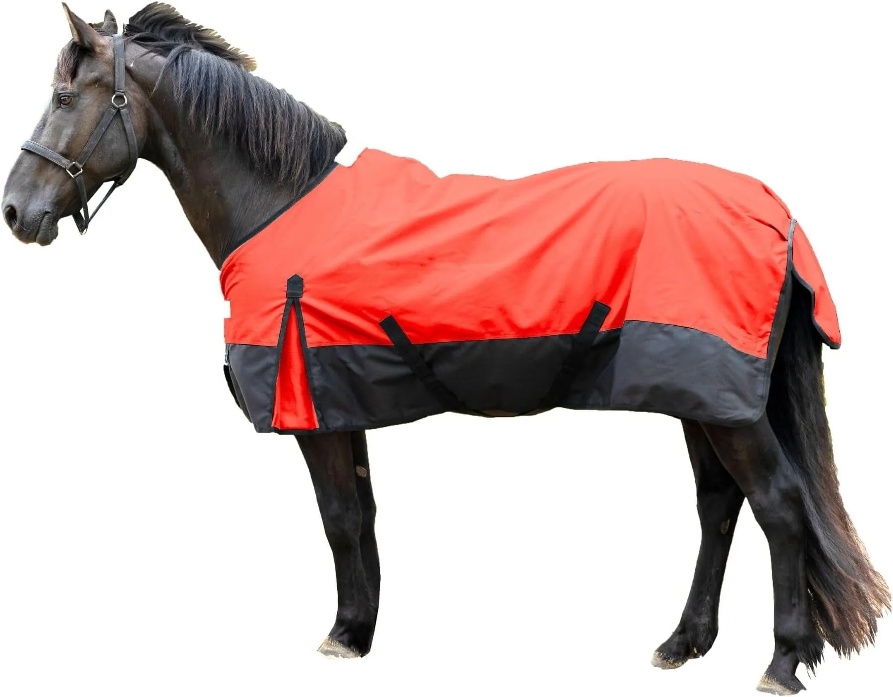 Rugged Ride 600 Denier Waterproof Adjustable Neck Turnout Blanket 200 Gram Fill
