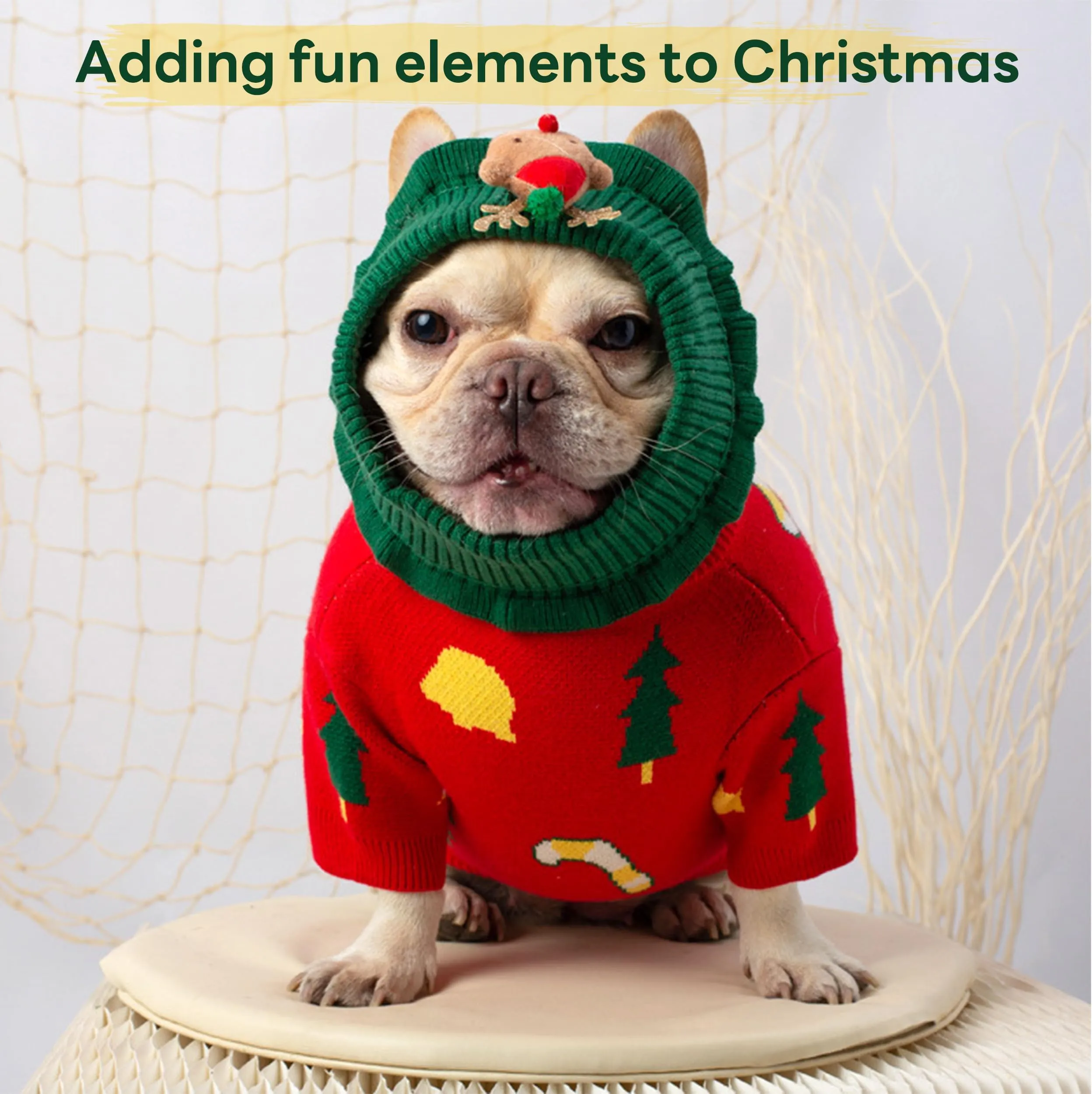 Christmas Sweater for a Dog: Festive Knitted Dog Sweaters with