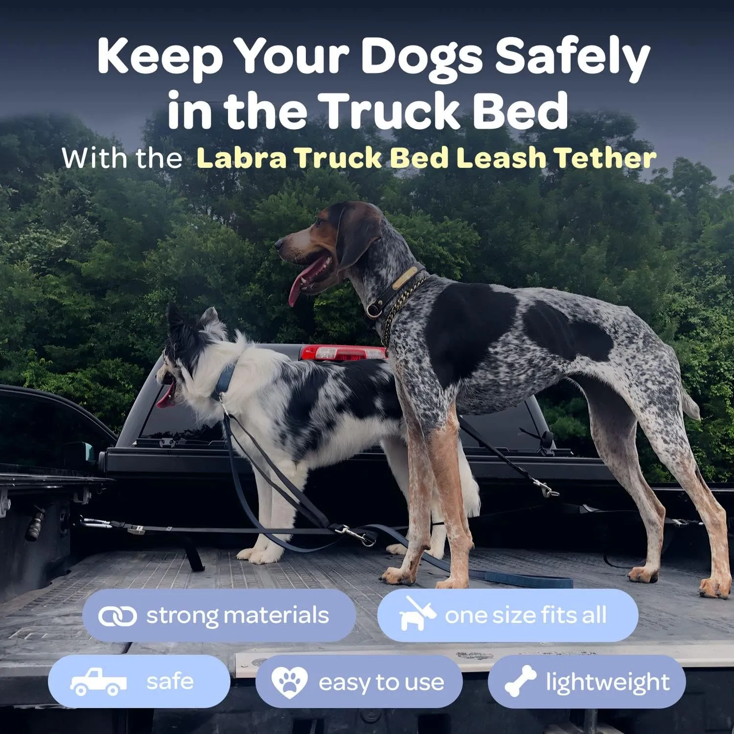 Bushwhacker Dog Pudello Way Truck Bed Dogs Tether For One Dog