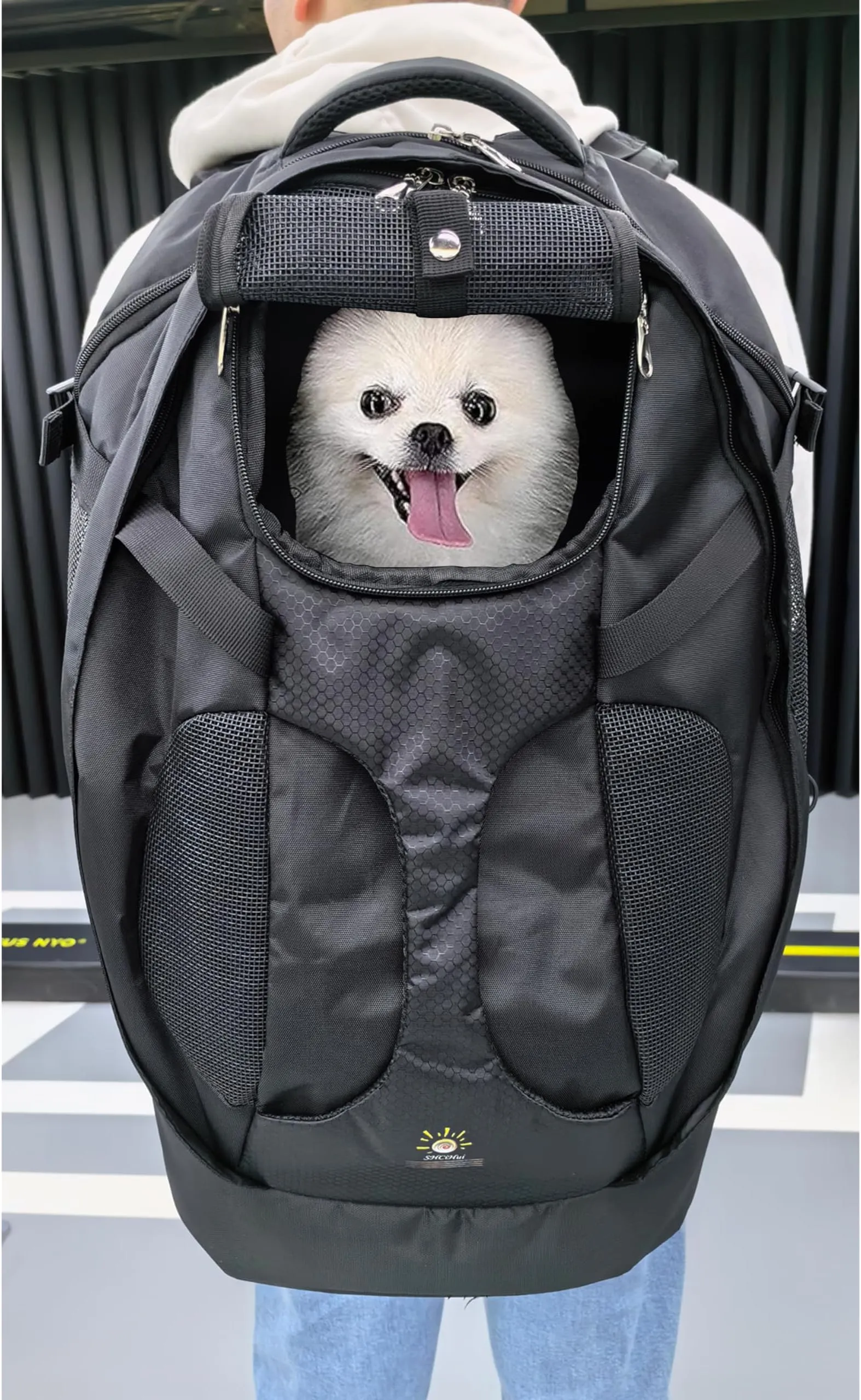 Pet Carrier Backpacks Backpacks To Carry Dogs Hiking The Best Dog