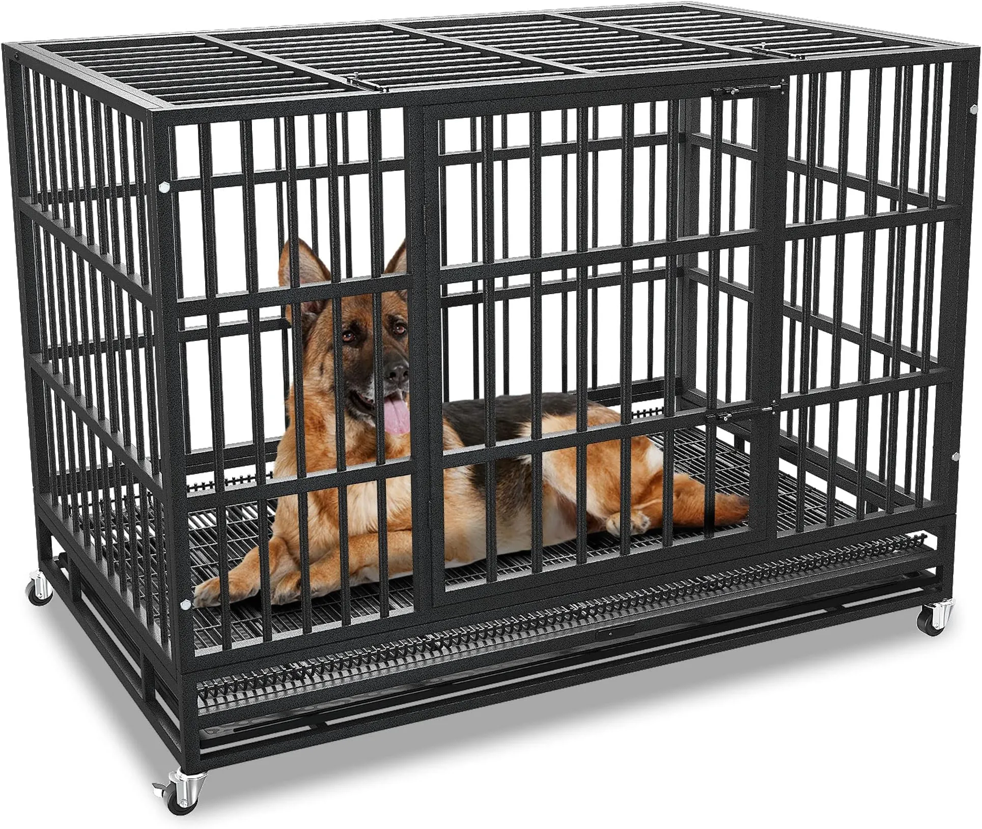 Heavy Duty Kijiji Dog Pen English Mastiff List Of All Mastiff