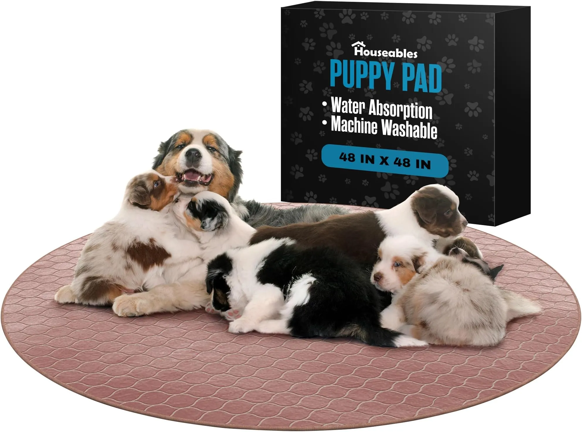 For Dogs Dog Eats Puppy Pad Tampon Dog Ate Poopy Diaper Dog Ate