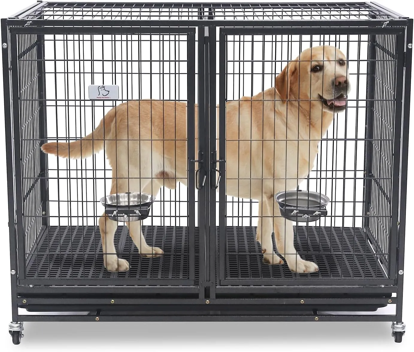 Adult Dog Introducing Puppy To Crate 11 Crate Training Tips For