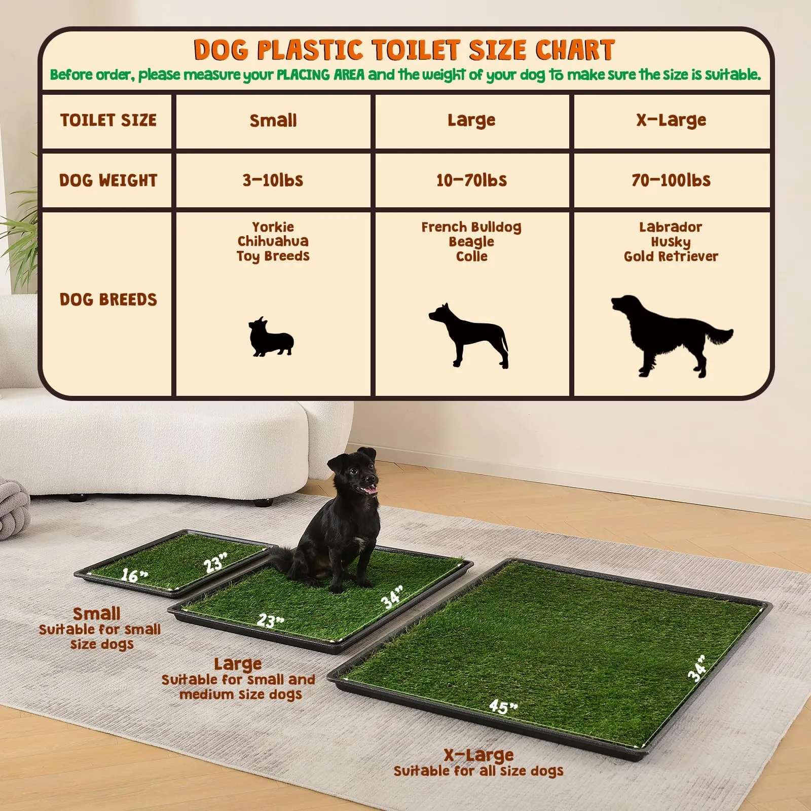 how to make a dog potty box