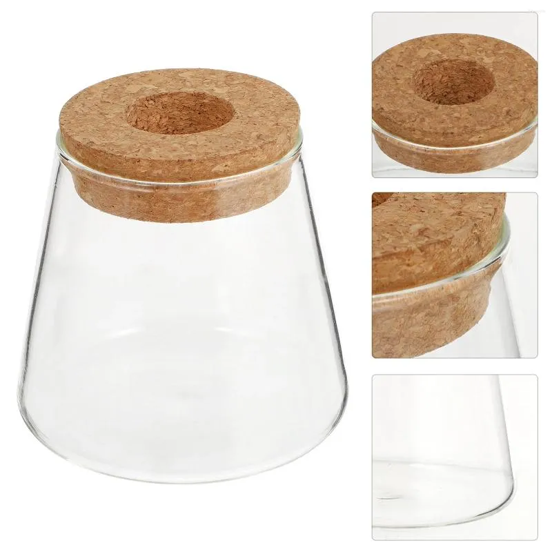 Vasen 2 PCs Öko -Flasche Lotus Blumendekor Hydrokroponik Vase Pflanzer Home Desktop Dekoration Holzglas Büro