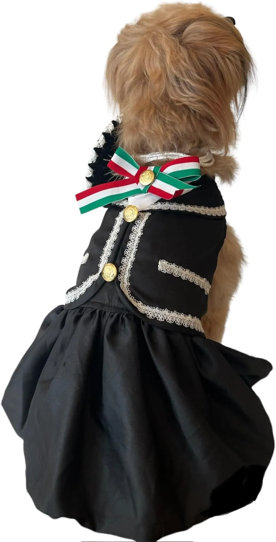 Mariachi Mexican Pet Dog Costume with Sombrero Charro for Small Breeds, Black, Holiday Use from Dhgate Dog Costumes - price 29.27 Mariachi Mexican Pet Dog Costume with Sombrero Charro for Small Breeds, Black, Holiday Use from Dhgate Dog Costumes - price 29.27