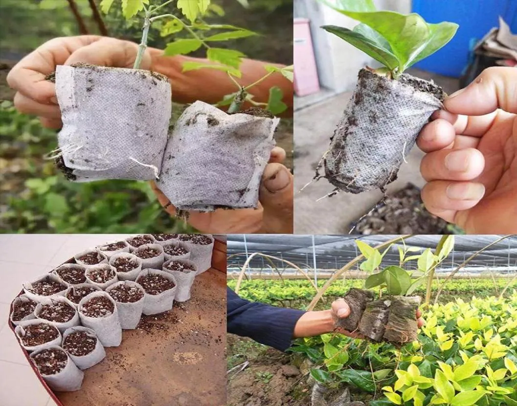 Planters Pots 100 PCS أكياس الحضانة غير المنسوجة النباتية تنمو شتلات مجموعة 8x10 سم TI999574501
