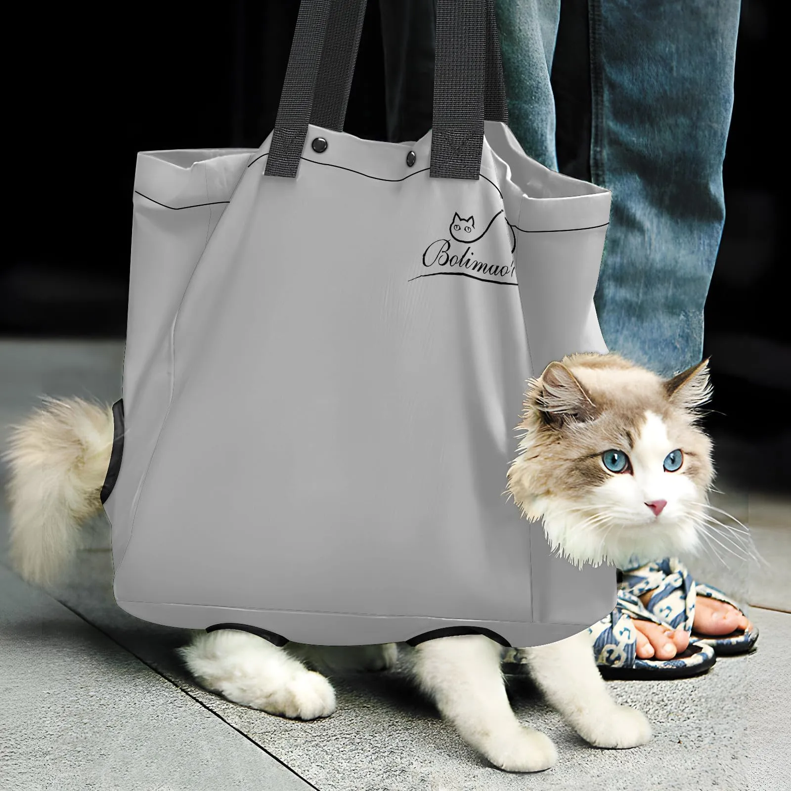 Bag Flying With A Cat Air Canada Sleepypod Air Canada Sleepypod