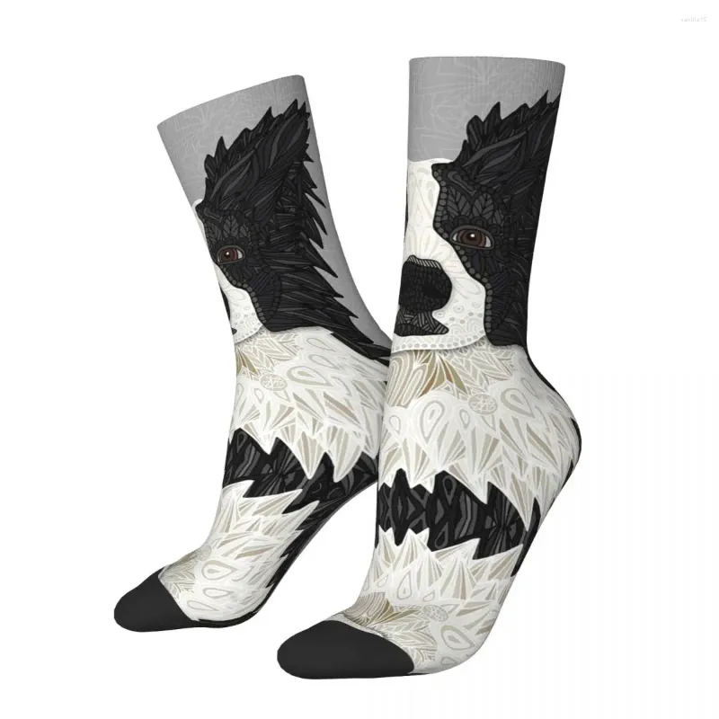 Мужские носки Красивые черные границы Колли Хараджуку Поглощающие чулки в течение всего сезона