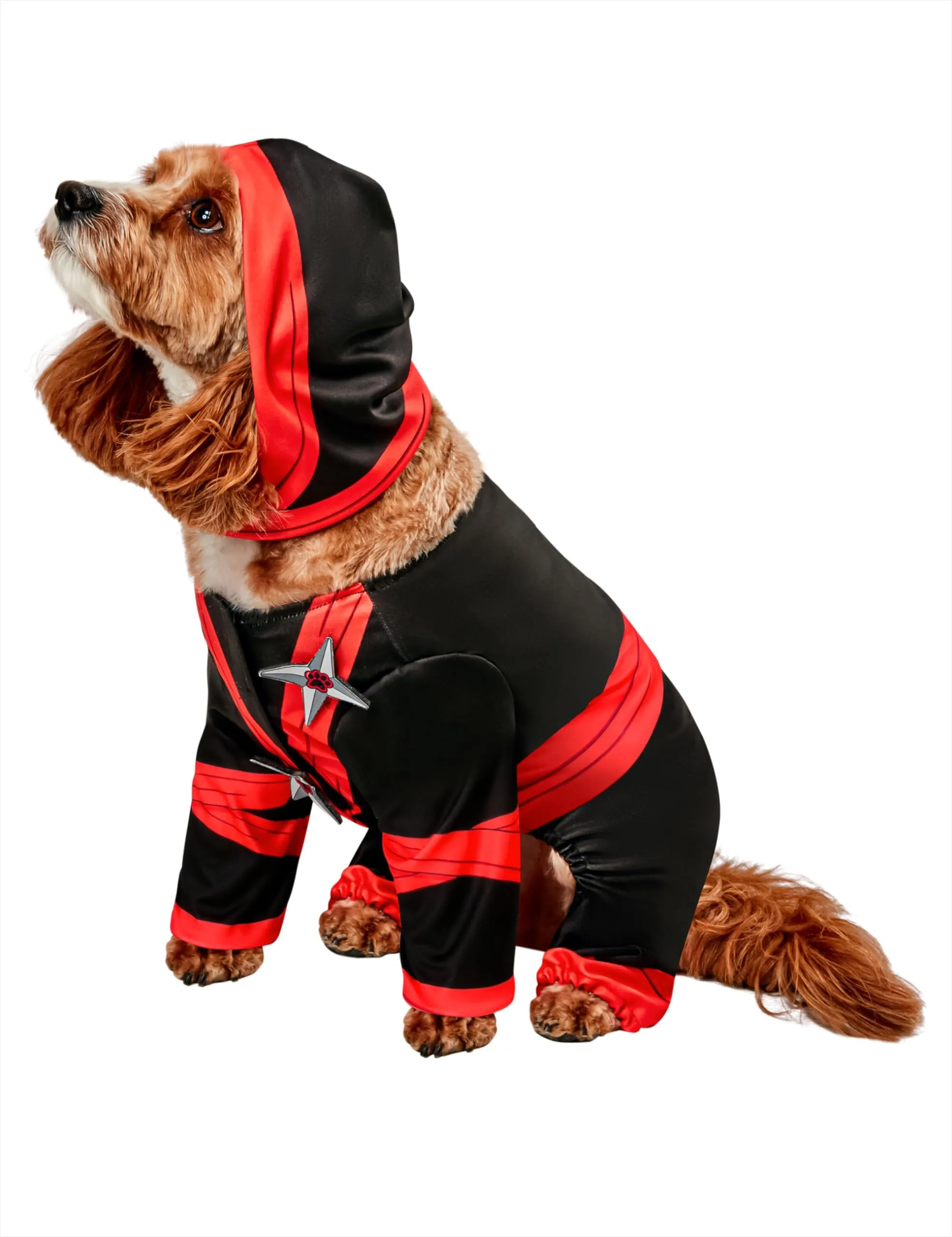 XIAOYU Halloween Dog Clothes For Small Pet Costume, Holiday Festival Coat Jumpsuit, Cat Apparel For Parties Cosplay, Skeleton/Pumpkin/Bat Pattern, S