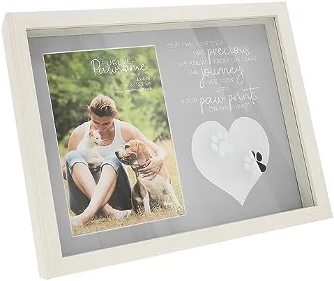 Pet Memorial Frame: Dog Paw Print Picture Frame, Shadow Box, Loss Gift ...