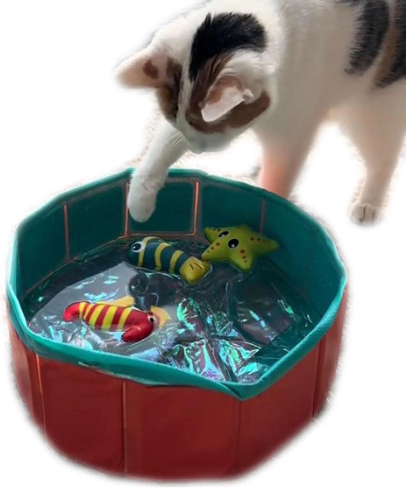 Interactive Cat Toys For Indoor Play Fun Water Pool Toy For Cats