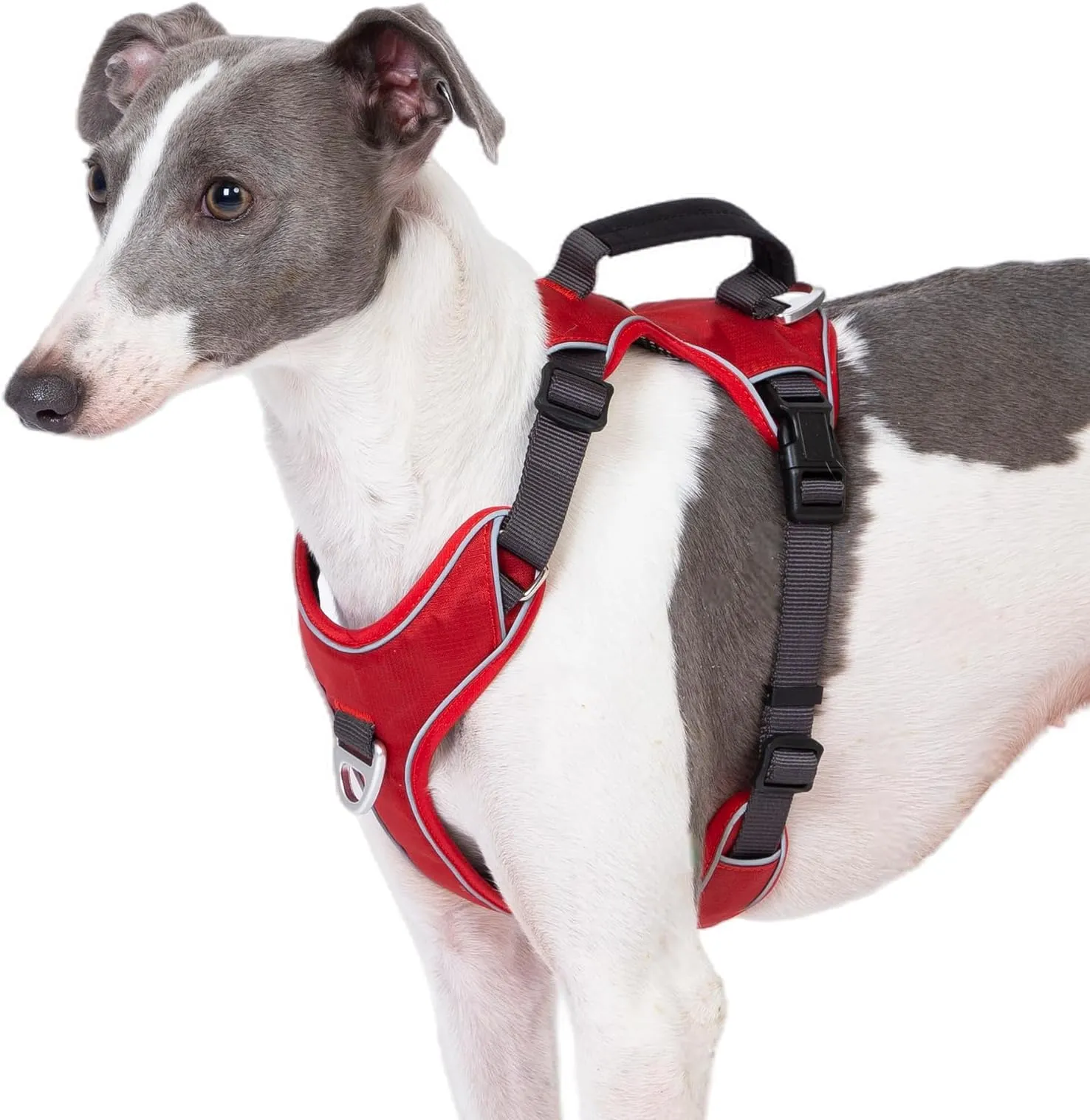 Save Big on Bulk Dog Harness With Front And Back Clip Dog Vest Harnesses:  No Pull Dog Harness With Handle, Reflective, Adjustable For Large Dogs,  Easy