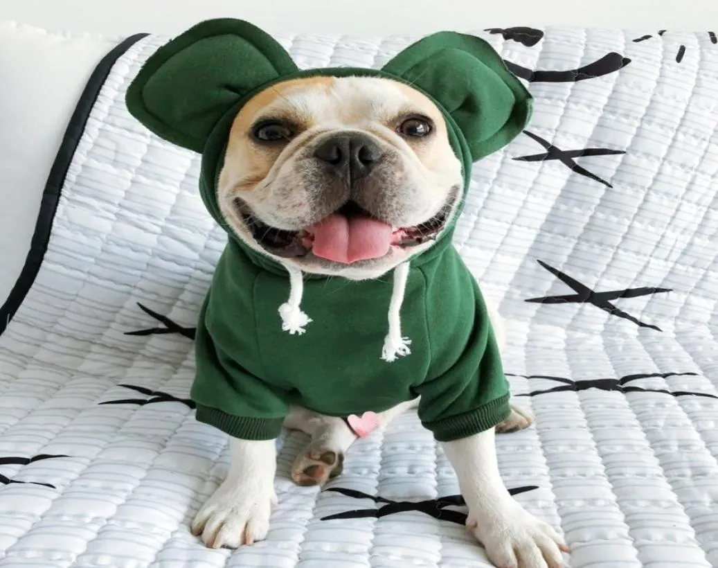 Mopskläder franska bulldoggkläder franska hund hoodie tröja kappa vinter husdjur outfit poodle pomeranian schnauzer plagg 20119959512