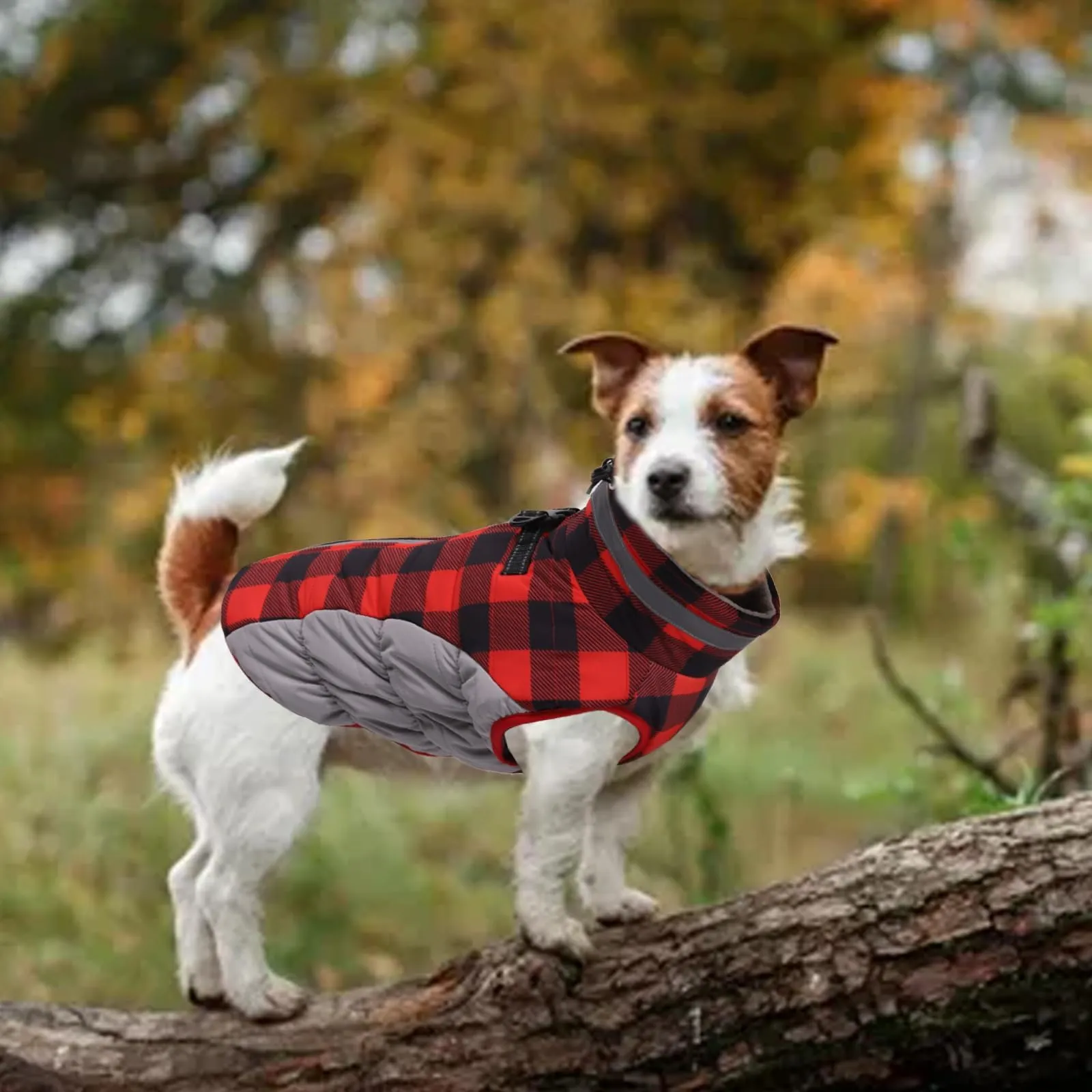 Sweater Dog Owner Jacket Warm Winter Dog Coat: Cozy Fleece
