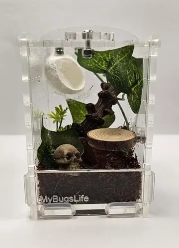 Action kit - Terrarium kopen? | Korting tot 12