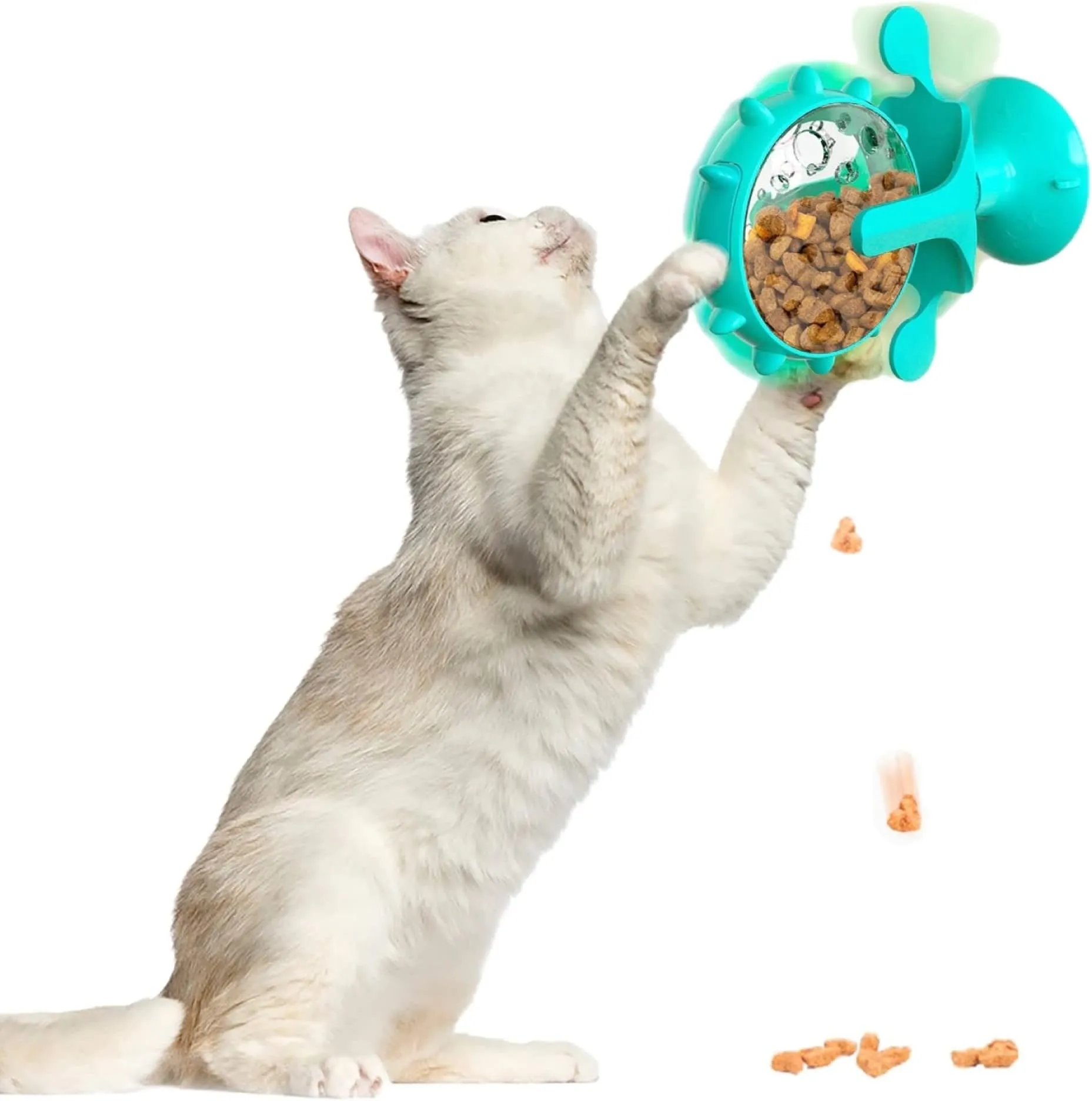 Cat Enrichment Activities Keeping Cats Entertained Indoors Cat