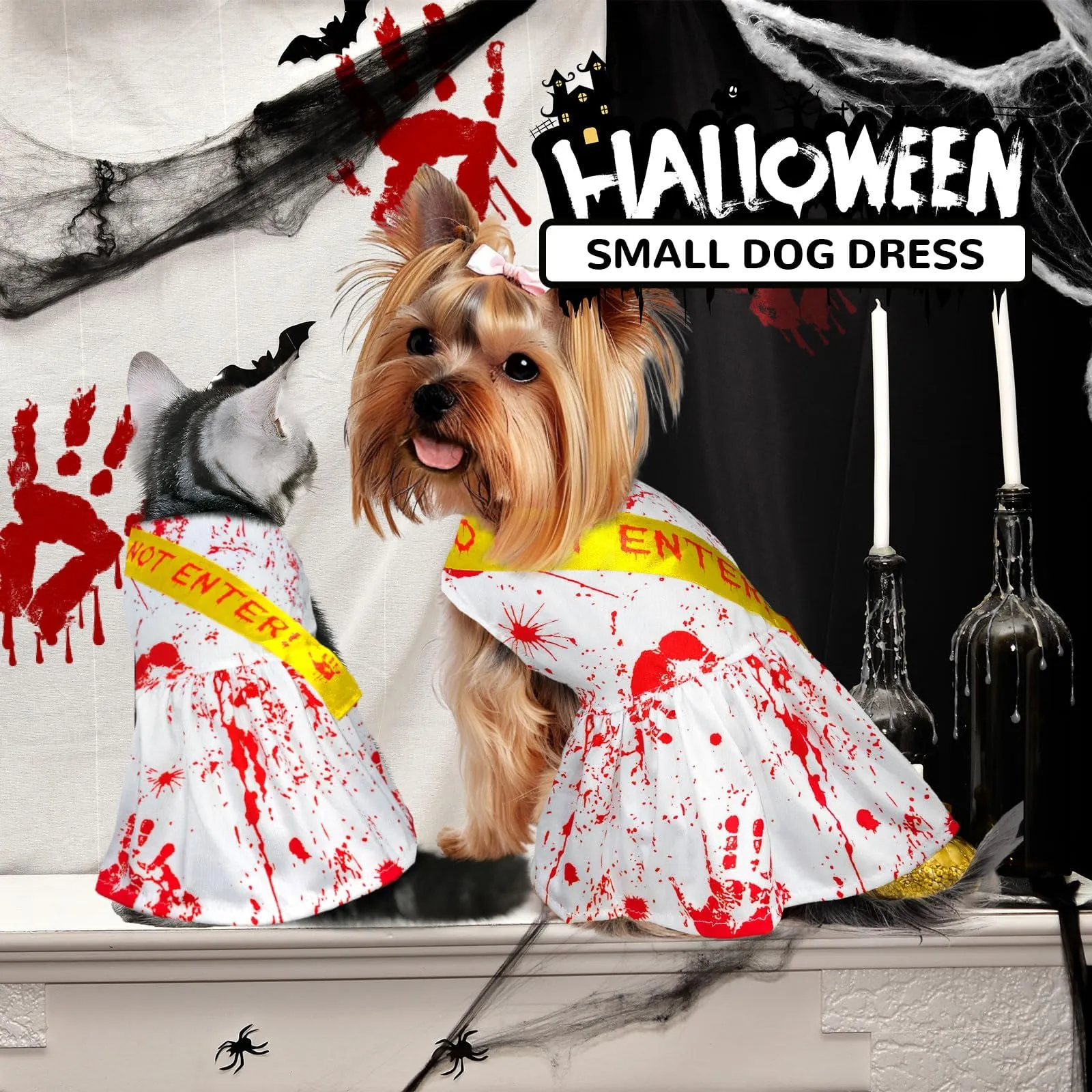 dog dress halloween Jack-o'-lantern Dress Up Your Pet Day