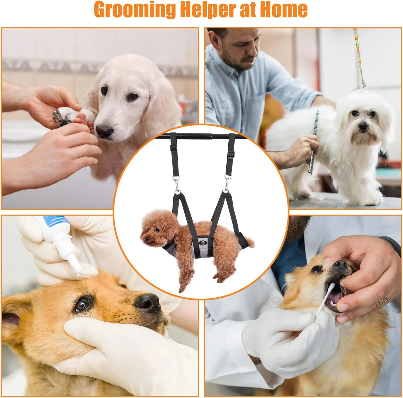 Pet Grooming Small Pet Boarding Near Me Country Pup Kennel Dog