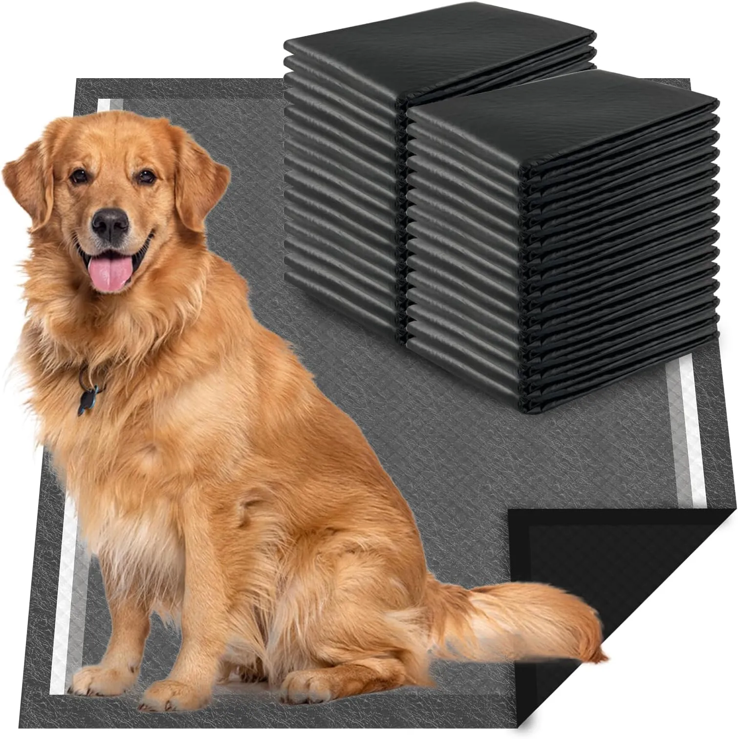 how to train puppies to use training pads