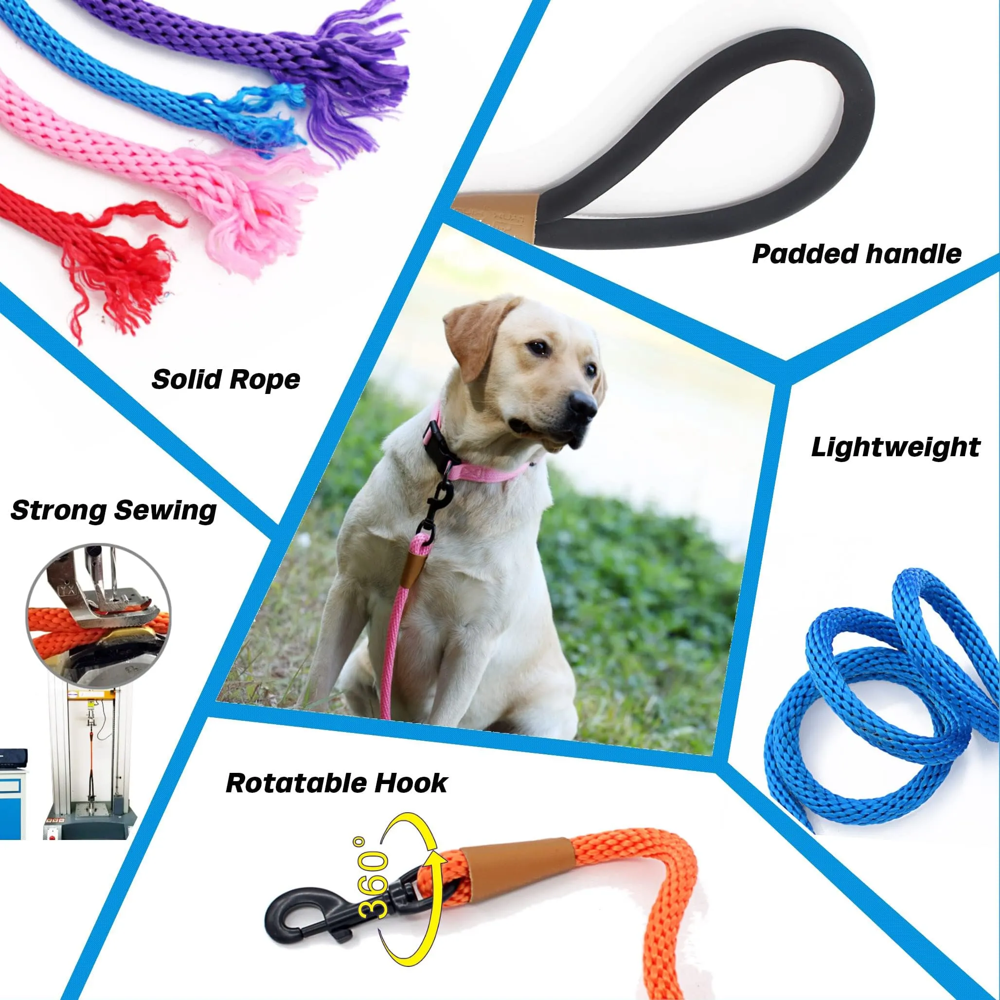 Best Dog Collars To Stop Pulling Best Leash For Big Dogs That Pull