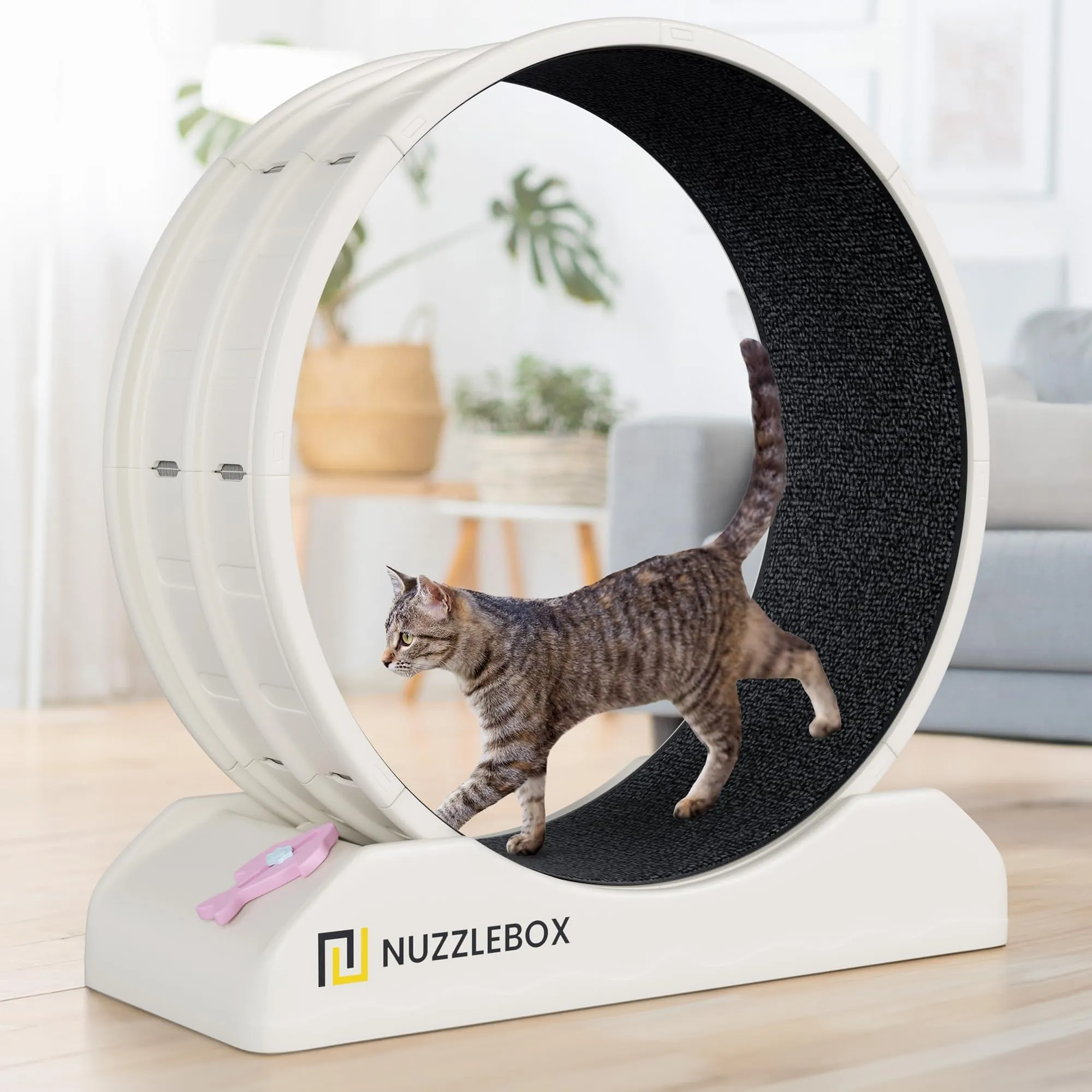 Save Big on Bulk Cat Workout Wheel NUZZLEBOX Cat Exercise Wheel Indoor Cat  Treadmill For Fitness Fun Silent Operation, Safety Lock Best Deals on 