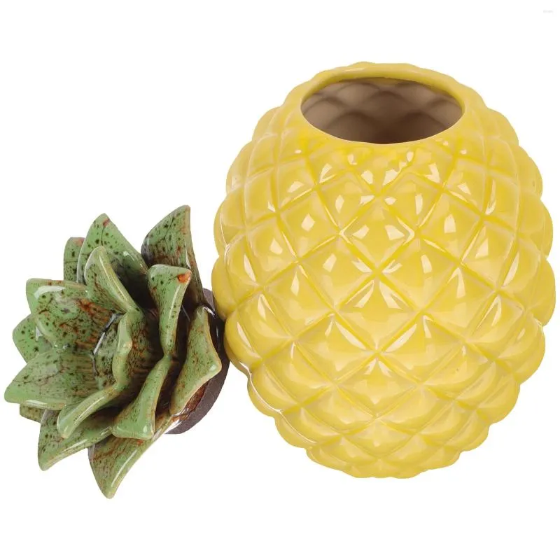 Bouteilles de rangement ananas à thé de bonbons couvercles couvercles de voyage Boîte de voyage porteuse céramique scellant canister