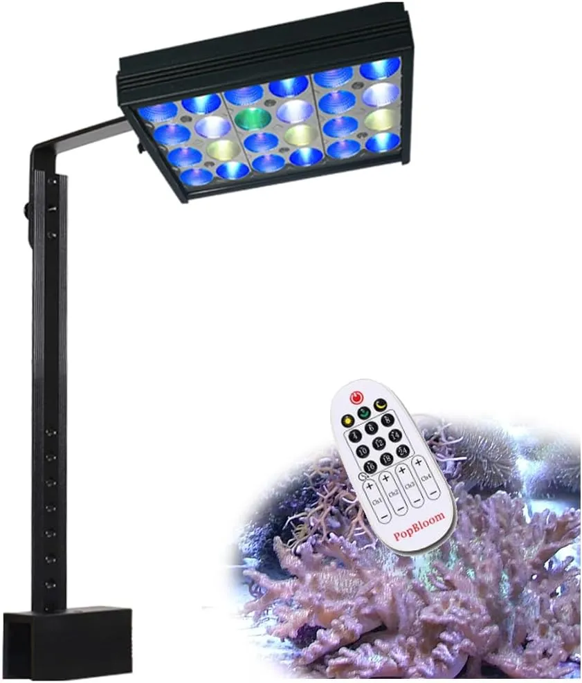 Invertebrate Lighting Needs In A Saltwater Reef Tank With A Moonlight Feature preview