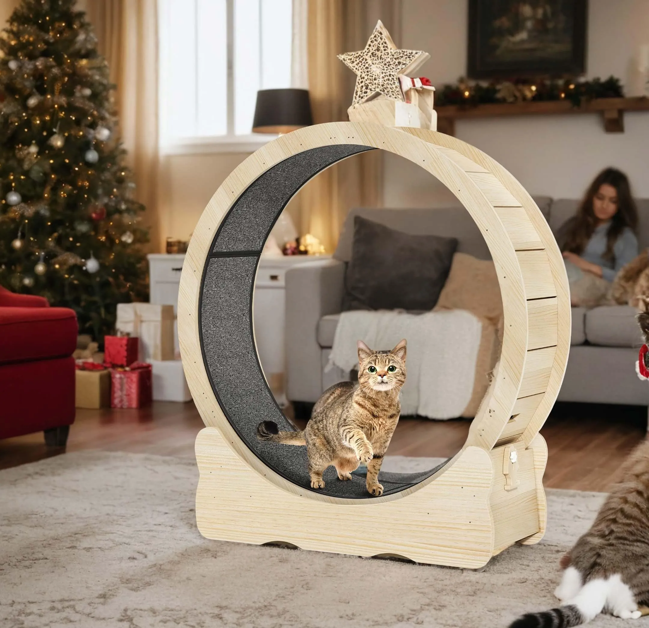 YITAHOME Cat Wheel Exerciser For Indoor, Inch Large Cat