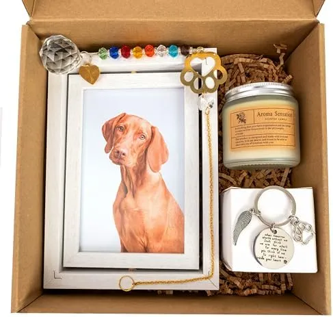 In Memory Of Dog Sympathy Keychain - Stainless Steel Pet Loss Gift For Bereavement - View #9