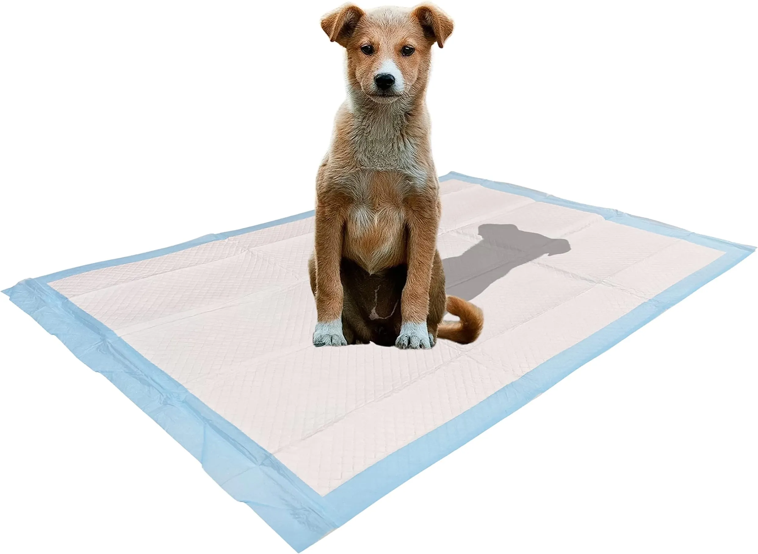 Pee Pads for Cats, Ultra Absorbent Leak-Proof Training Pads for Puppies and  Small Animals, 5-Layer Protection, Large 24