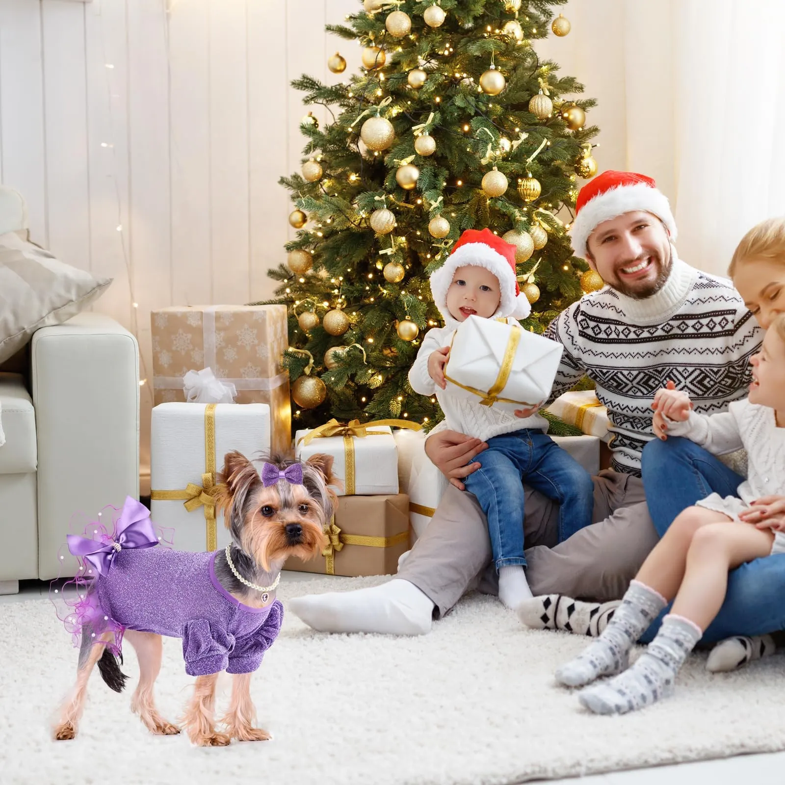 white christmas dresses Candy Cane Cutie Dog Dress main image 0