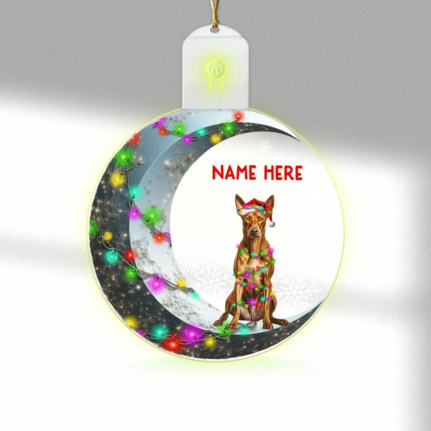 Personalized Dog Remembrance Ornaments Custom Pet Memorial