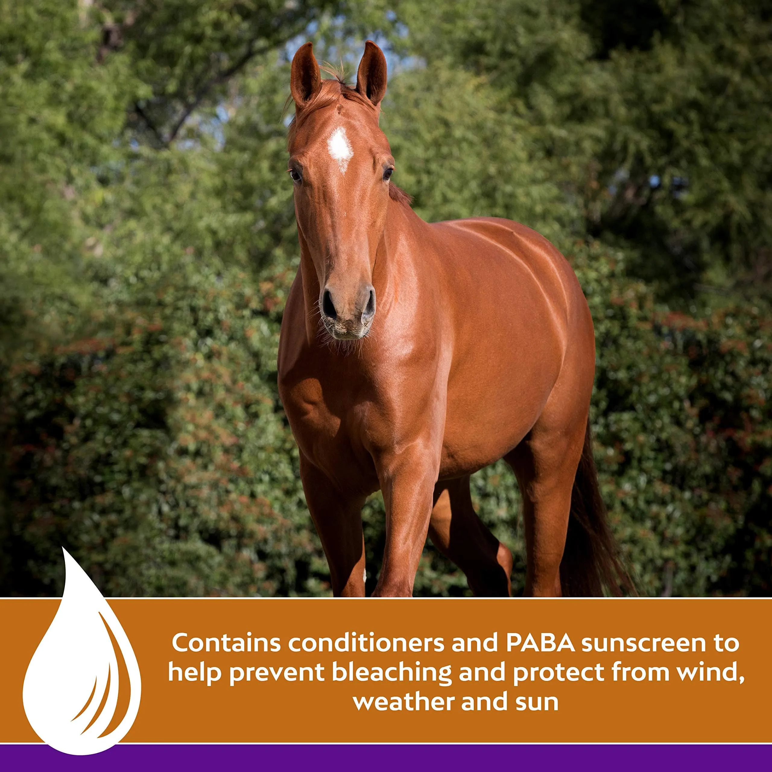 Equine Mineral And Vitamin Pellet Equine Mineral And Vitamin Pellet
