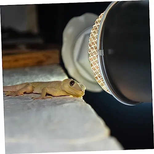 Reptile Heat Lamp Guard: Durable Stainless Steel Heater Protector