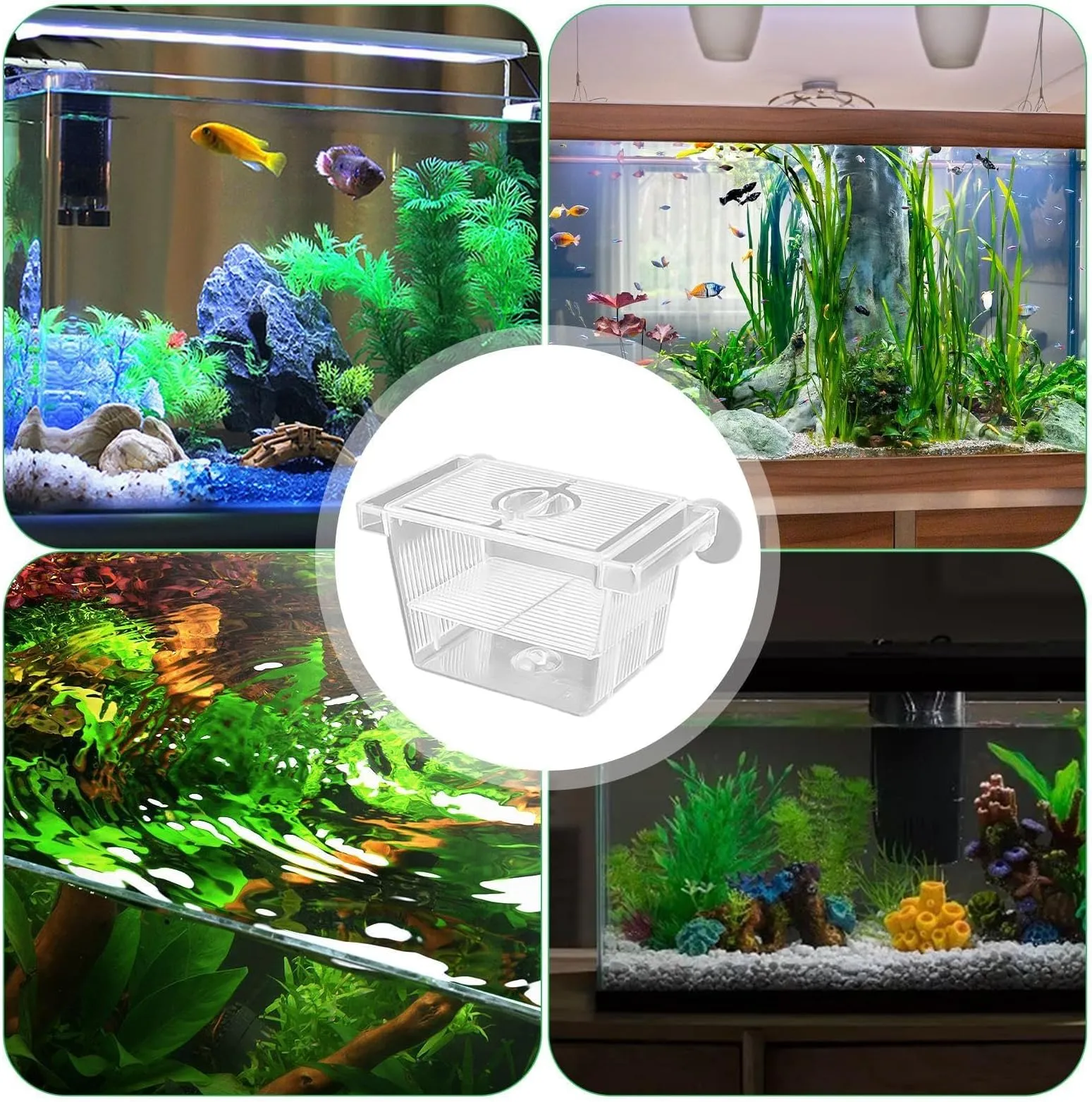 Aquarium Breeding Box Floating Fish Breeding Box – 8x7x11cm Acrylic ...