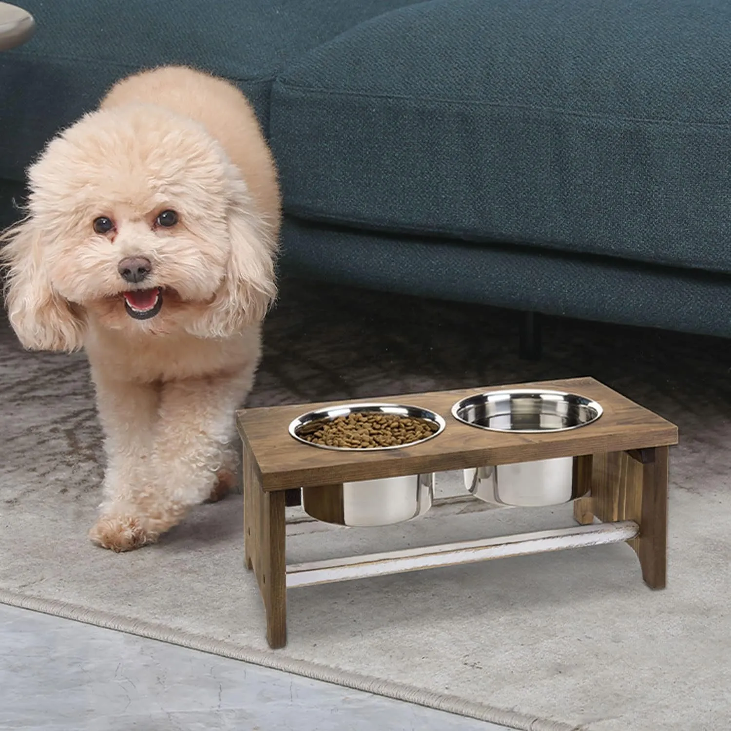 amazon blind dog toys BUDDY  Two Blind Brothers