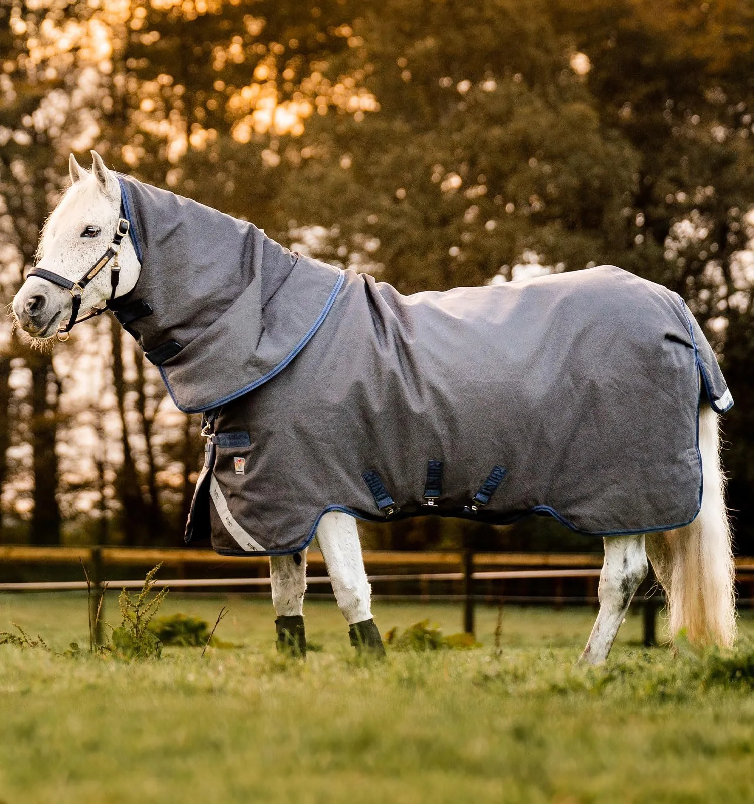 Turnout Sheet Pattern Lightweight Pattern Horse Blanket - Premium Quality Turnout Sheet, Shop ...