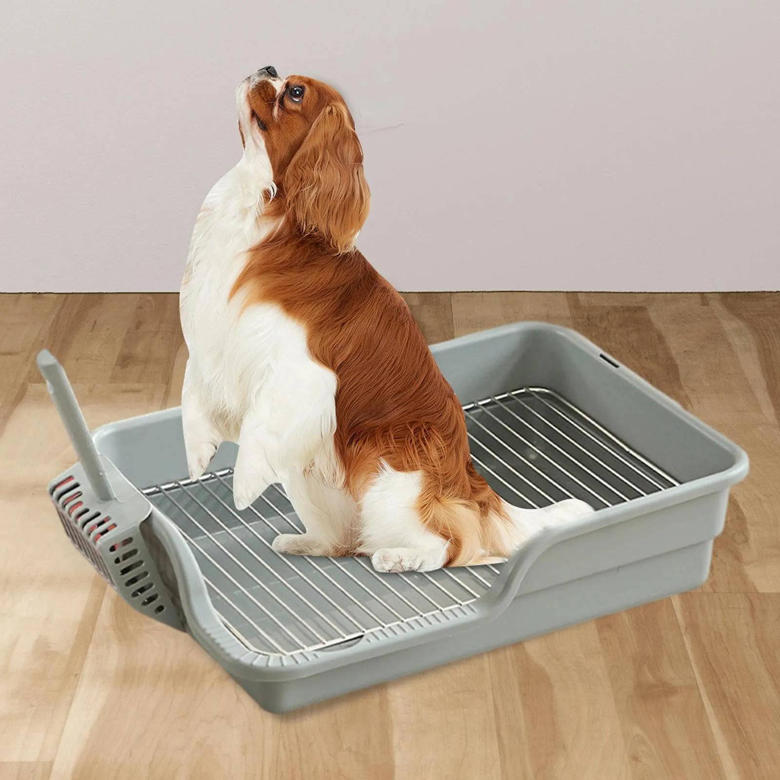 DHgate Stainless Steel Dog Potty Tray with Open Top Entry for Easy Training Cleanup Pet Supplies