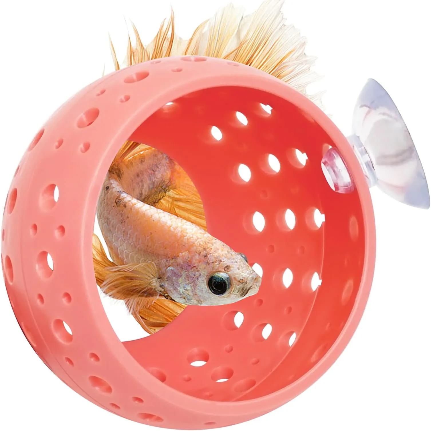 Betta 30cm Goldfish / Fish Bowl Kit - Superstore