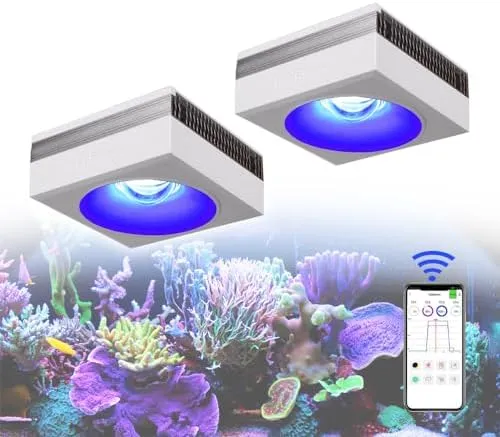 Photo inspiration: 48 Inch Aquarium Light Full Spectrum Led Reef Coral Grow Photo Inspiration
