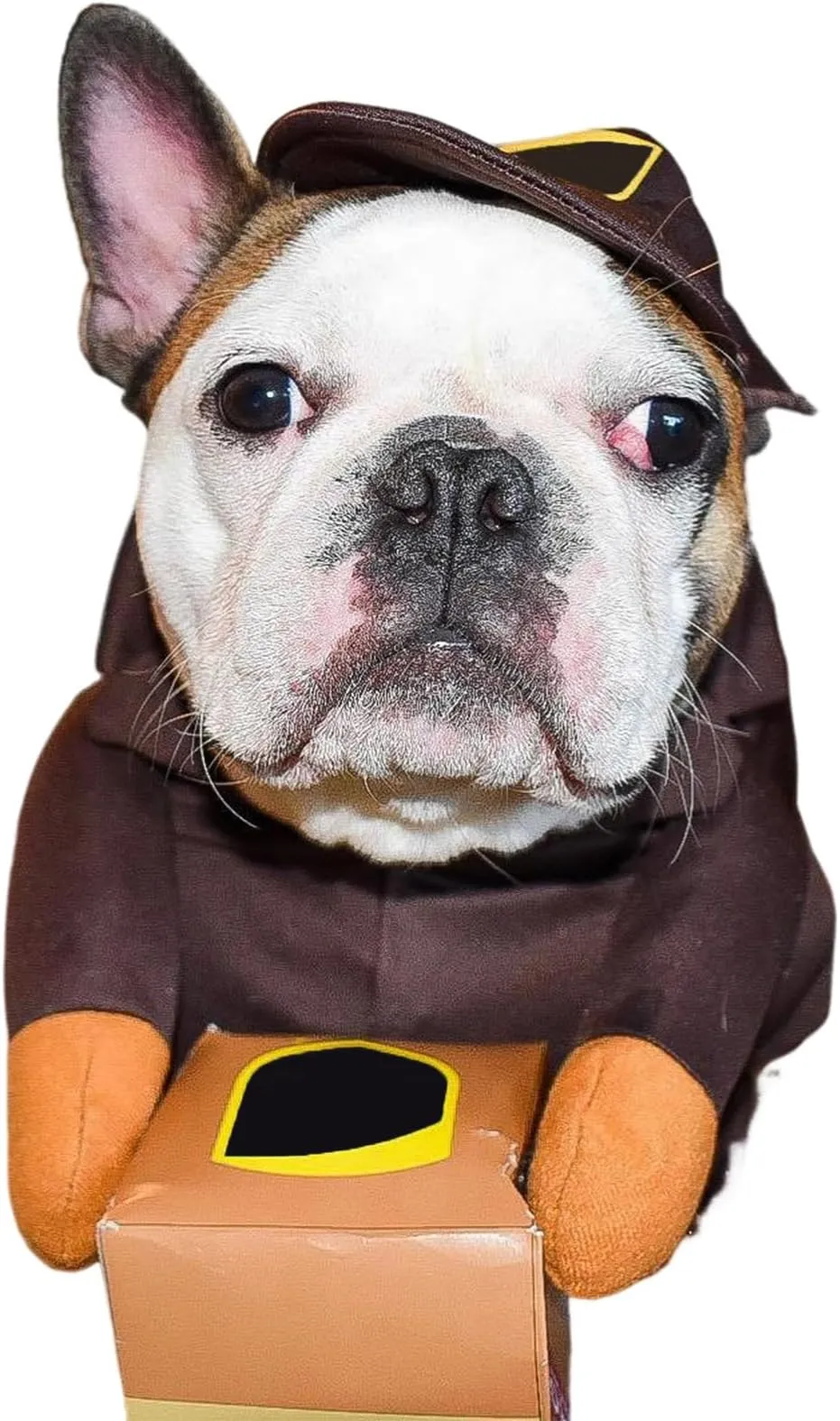 Manteau Déguisement Banane Pour Chien Et Chat - Costume Chaud, Amusant Pour Halloween, Noël, Hiver Et Photos - Taille Petite Et Moyenne
