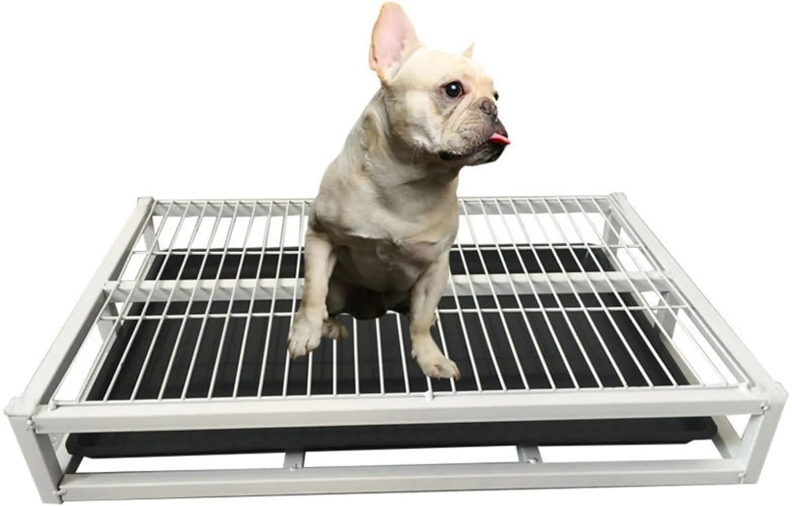 Metal Dog Toilet Training Tray, Indoor Puppy Training Toilet